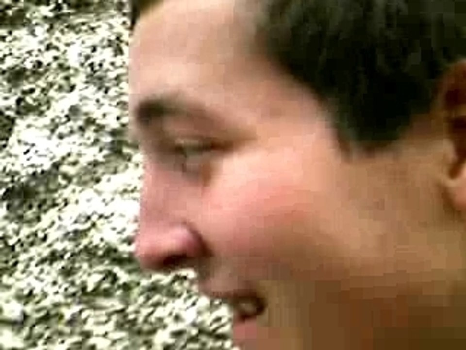 tomas ... la tapete