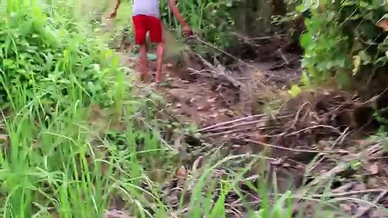 Net Fishing In Battambang Province - Khmer Cast Net Fishing -Cambodia Traditional Fishing ( Part... [Low, 360p](1)