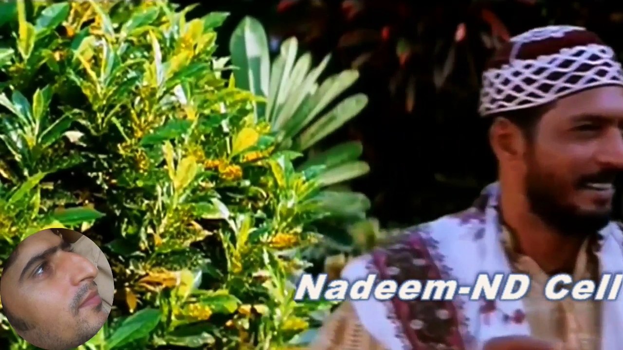 new indian songs