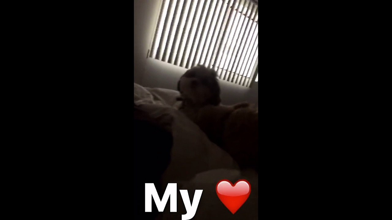 sharna instastory 9-20-16