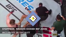 Late stoppage causes angry Roy Nelson to kick ref in butt at UFC Fight Night 95