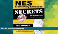 Big Deals  NES Elementary Education Secrets Study Guide: NES Test Review for the National