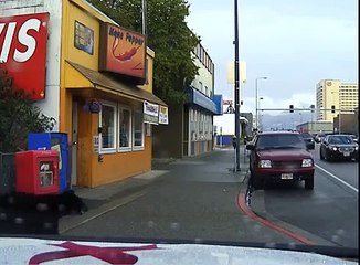 Police chase bear through downtown Anchorage, Alaska