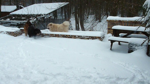Jeux de bourrins ^_^