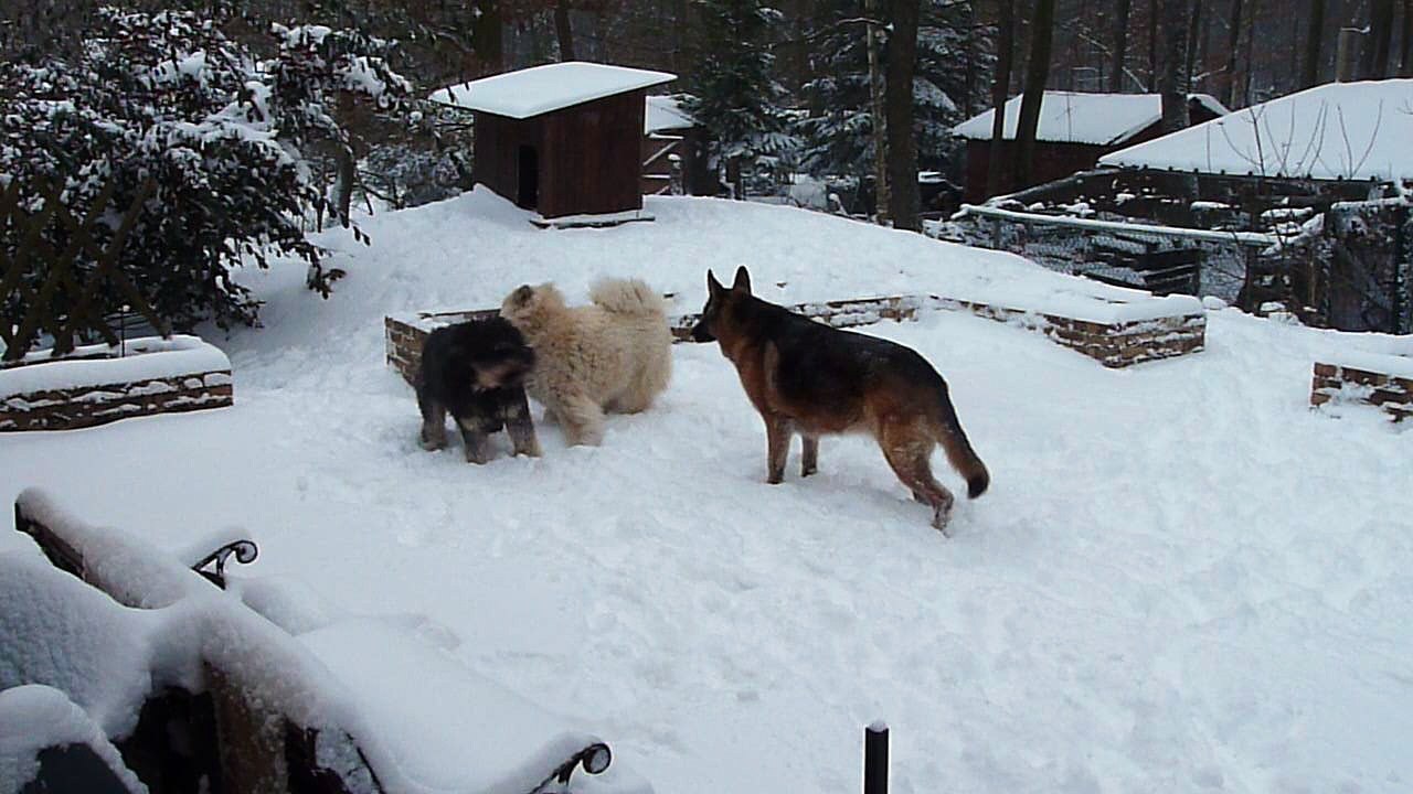 Oui on bourrine... mais qu'est-ce qu'on aime !