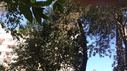 THIS IS WHAT YOU CAME FOR || Elena Mary