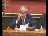 Roma - Audizioni in materia di videosorveglianza (21.09.16)