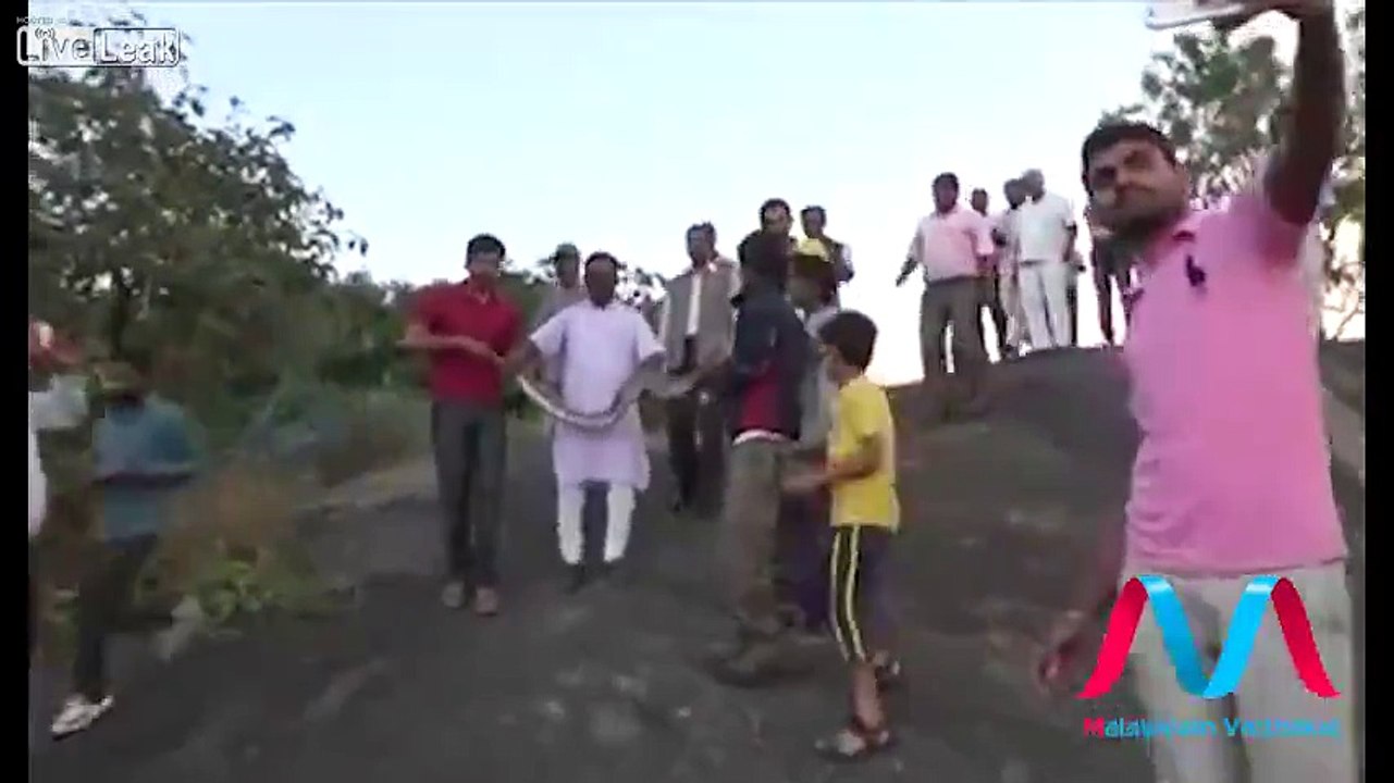 Selfie With Snake Goes Wrong!