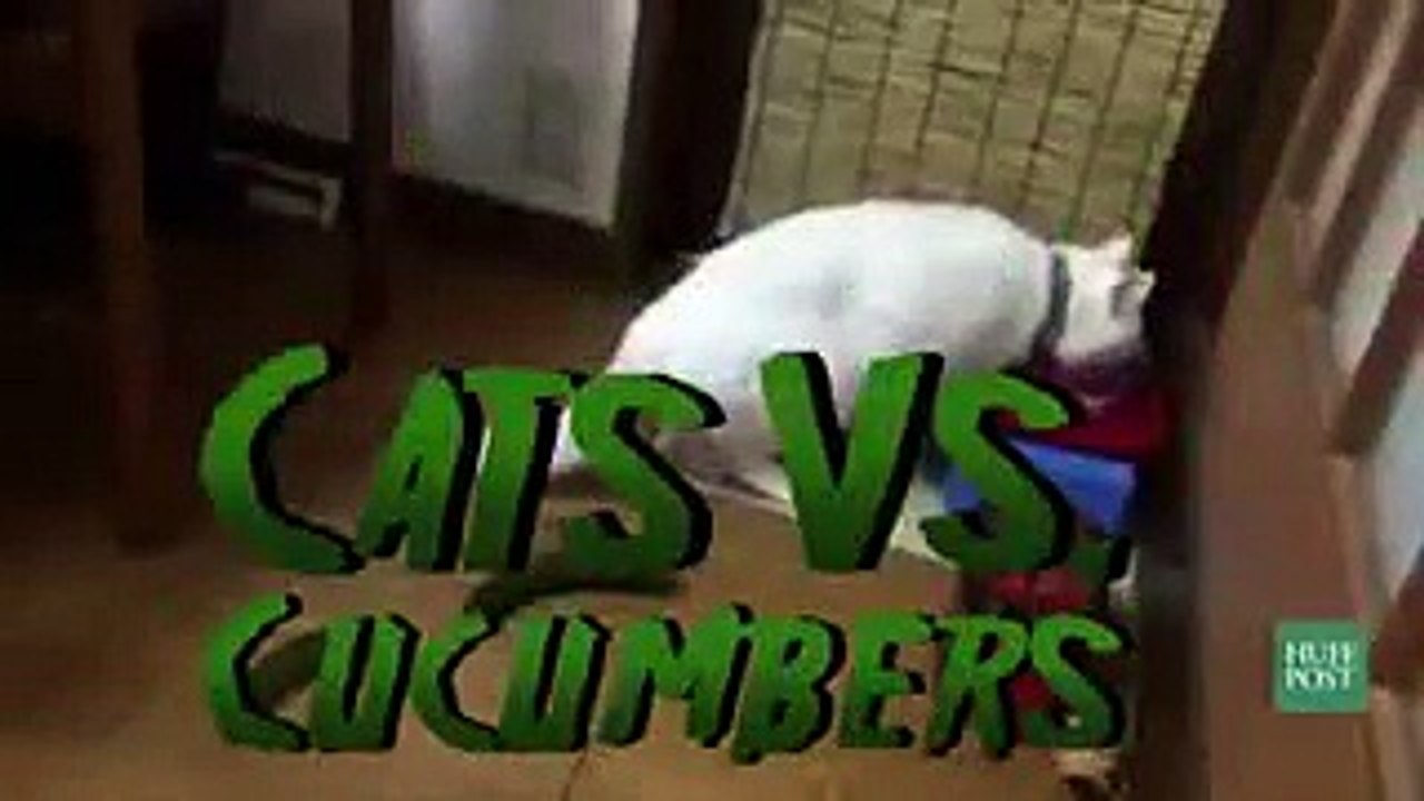 la venganza del pepino