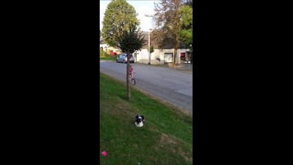 14-09-2016 - Kelly roule à deux roues