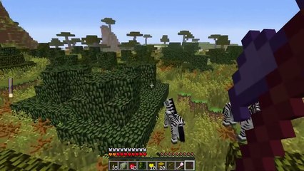 #KARMALAND - EL COLECCIONISTA #62