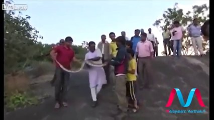 Selfie With Snake Goes Wrong!
