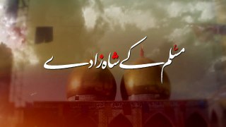 Muslim Kay Shahzaday - Mir Hasan Mir - New Noha 2016 [HD]
