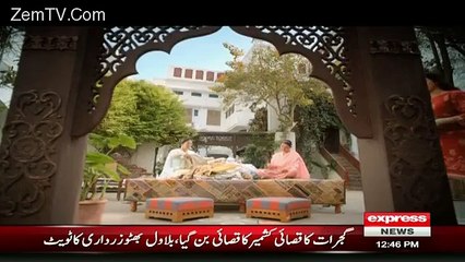 “Josh” Double Meaning TV Ads Or Pemra Kahan So Raha Hai ?