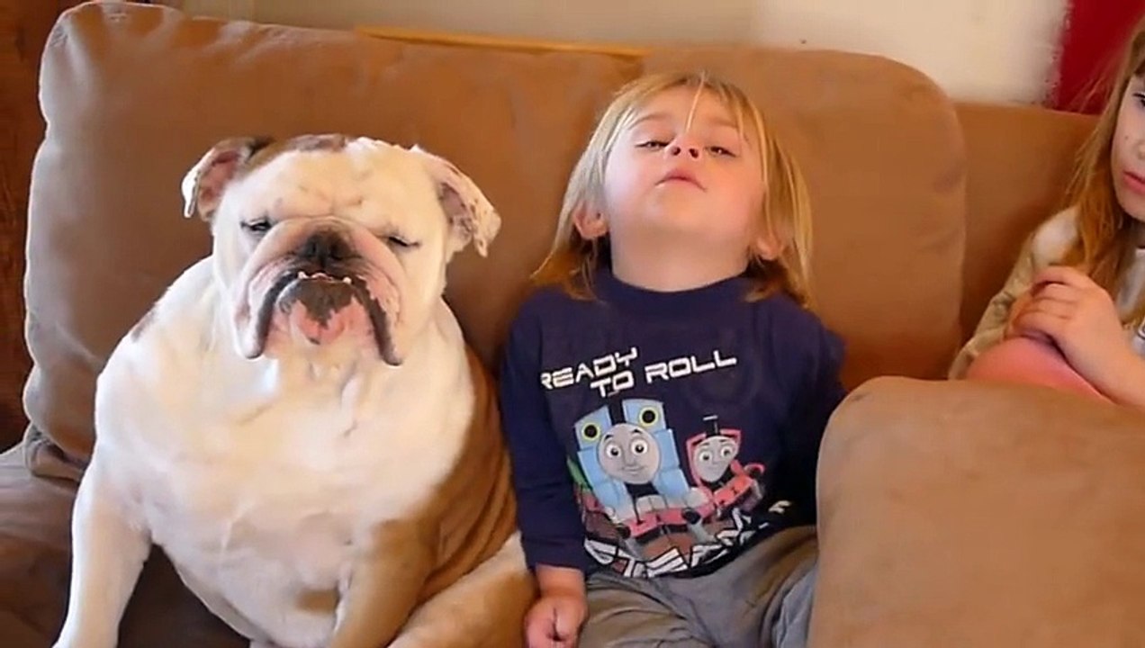 Kid and Bulldog Falling Asleep