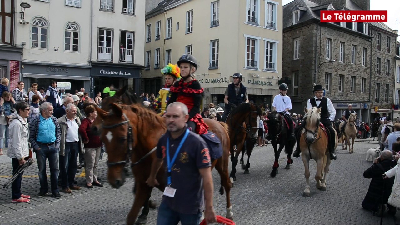 Mille sabots. 300 chevaux et ânes défilent dans les rues de Lamballe