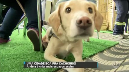 Conheça a primeira cidade brasileira criada só para animais