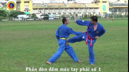 Vovinam: Phản đòn cơ bản trình độ 1 (vietnamese federation 2016)
