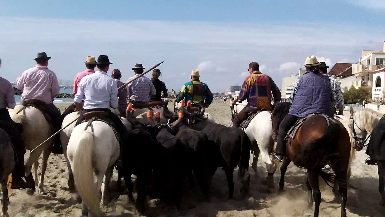 Abrivados de Palavas