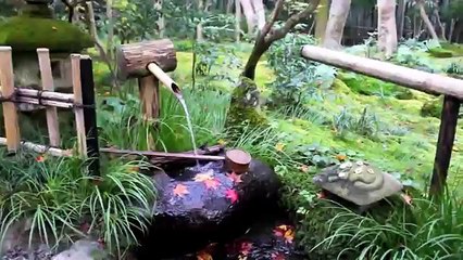 Beatiful Culture And Nature in Osaka,Japan