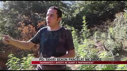 PD: Tahiri bekon parcelat me drogë - News, Lajme - Vizion Plus