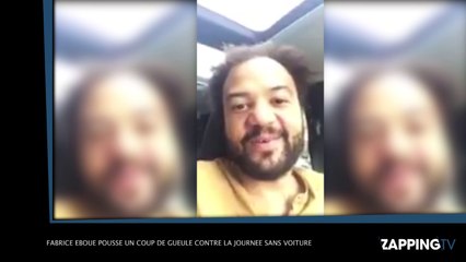 Fabrice Eboué pousse un coup de gueule contre la journée sans voiture à Paris (Vidéo)