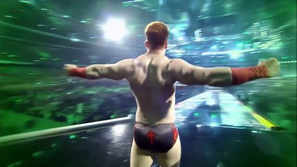 Honor of Wrestling | Shemaus vs Conor McGregor