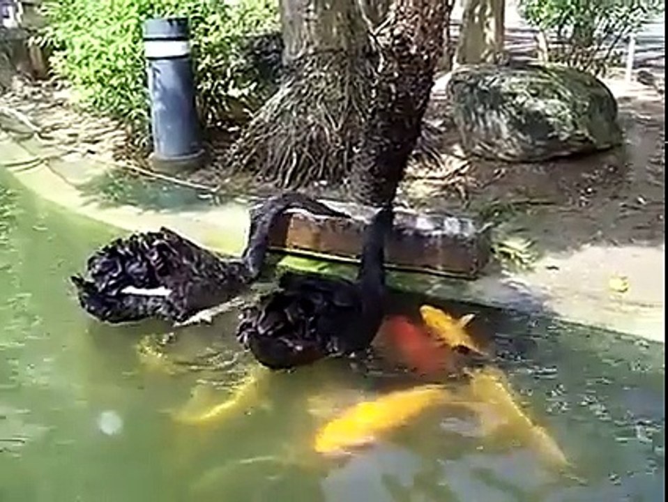 Sharing is caring