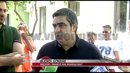 “Sekuestrohen” dy arinj të vegjël - News, Lajme - Vizion Plus