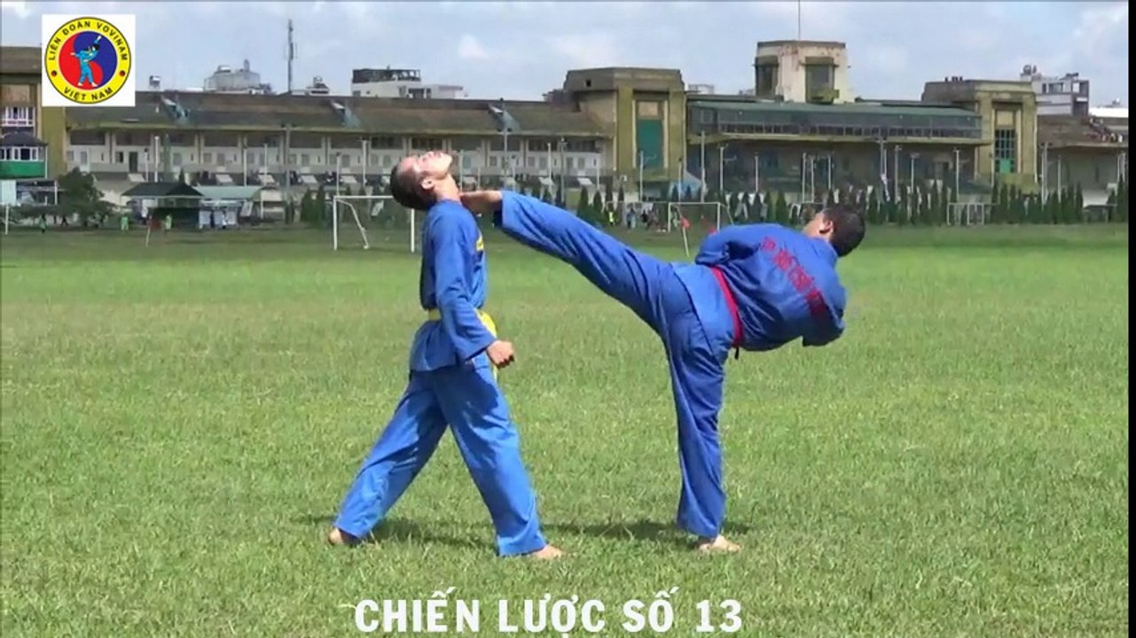 Vovinam: Chiến Lược 11 - 15 (Vietnamese federation)
