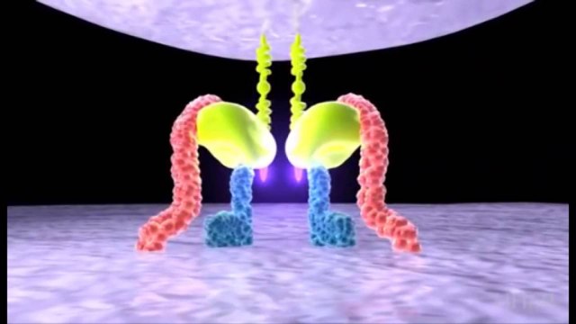 Shtohen rastet ne HIV –AIDS,midis të prekurve edhe fëmijë