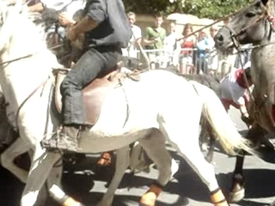 portiragnes abrivado 2007