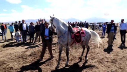 Rahvan At Yarışları Türkiye Şampiyonası