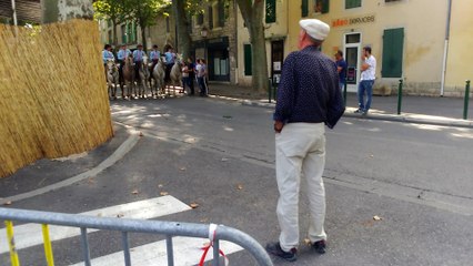 les gardian de camargue