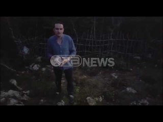 Ora News - Salianji denoncon mbjelljen e kanabisit në Kolonjë: Prej 3 vitesh sundojnë bandat