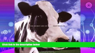 FULL ONLINE  The Secret Life of Cows