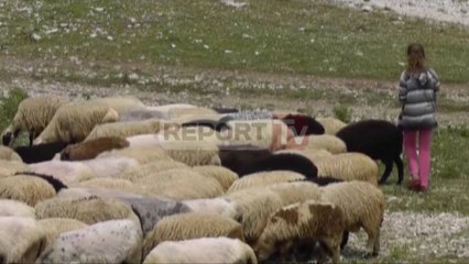 Report TV - Gjirokastër, banorët në protestë: Të punohet në infrastrukturë e ujësjellës