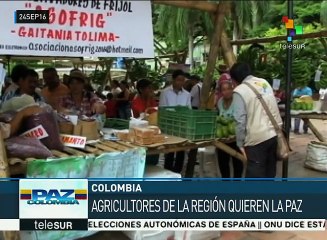 Colombia: habitantes de Tolima trabajan por la paz