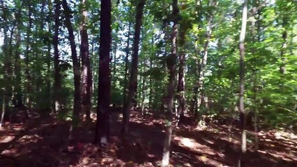 Land for Sale in Spring Creek 101 Whippoorwill Pl Louisa VA 22942