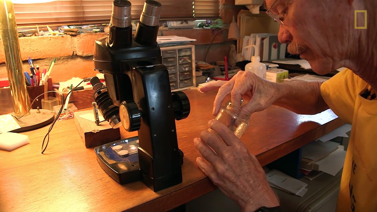 Would You Risk Venomous Insect Stings for Your Job - National Geographic