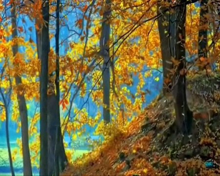 DÜŞEN BİR YAPRAK GÖRÜRSEN ''SONBAHAR RÜZGARLARI''.( YILDIRIM GÜR