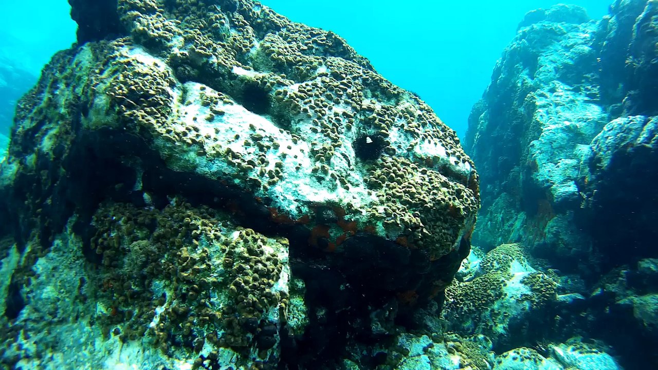 SEPTEMBER 2016 SCUBA DIVING... :-)