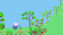 Peppa Pig - 17. Frösche, Würmer, Schmetterlinge (Ganze Folge)