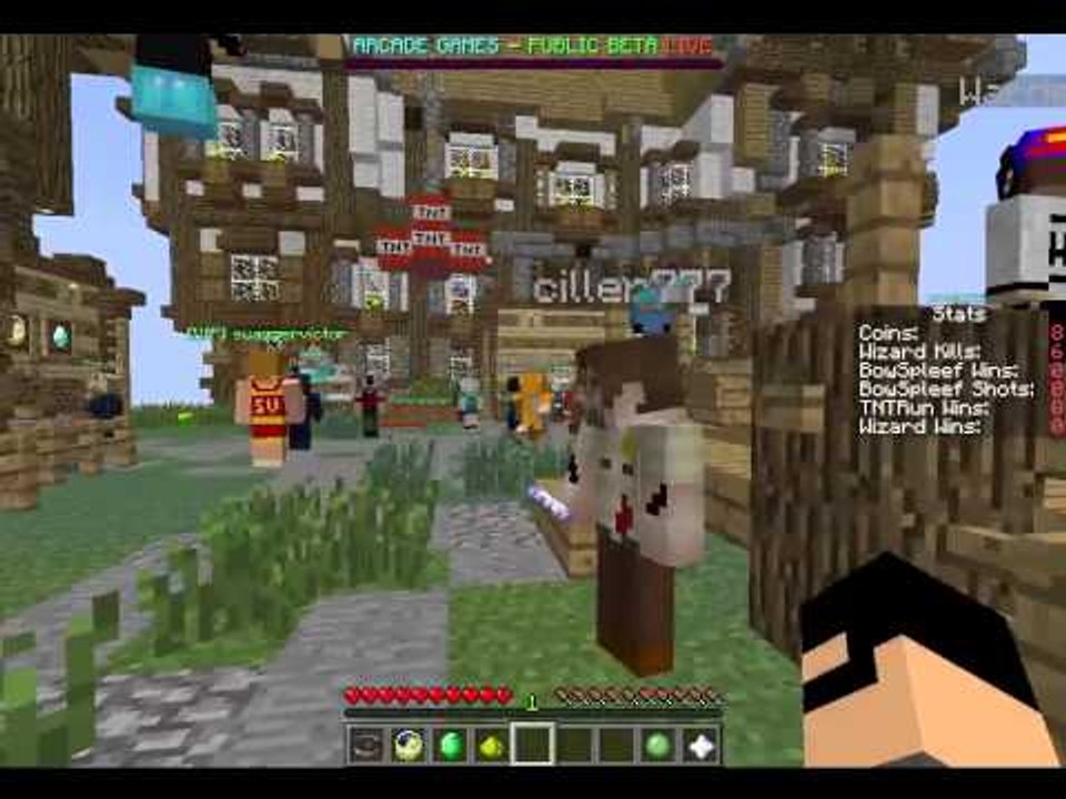 minecraft with subscriber