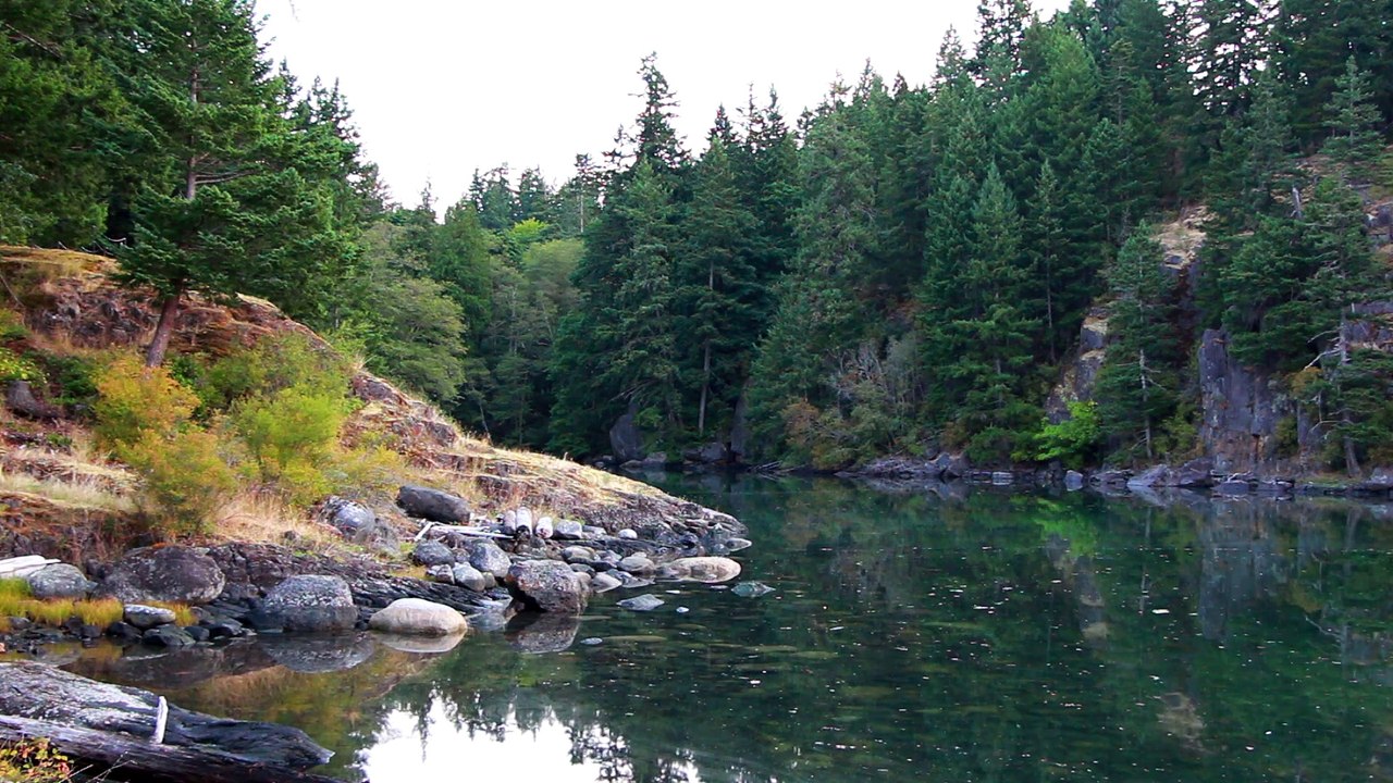 Still Lake