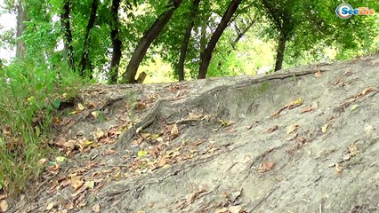 Свинка Пеппа Мультики с игрушками. Маша и Медведь Мультфильм. Спайдермен и Халк Бой - Серия 56